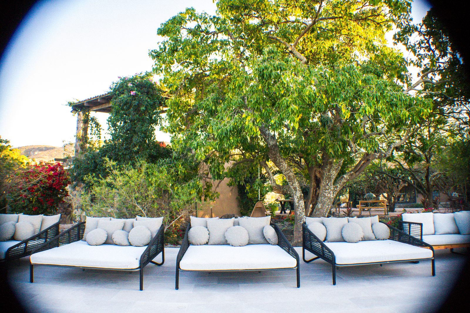 Daybeds en terraza con vista al jardín